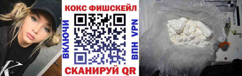 Cocaine Эквадор  купить наркотики цена  Протвино 