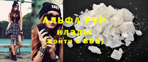 спиды Абаза