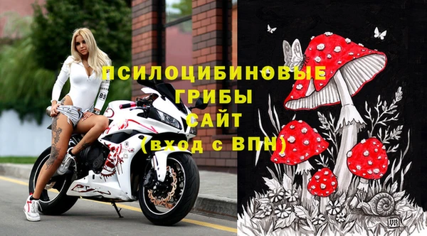 эйфоретик Алзамай
