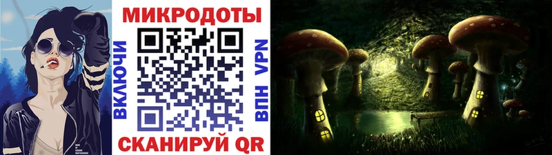 Псилоцибиновые грибы ЛСД как найти Протвино